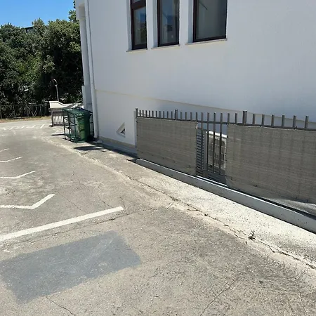 Auer * Pula